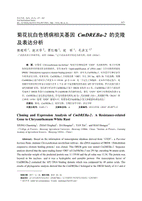 菊花抗白色銹病相關(guān)基因CmDREBa-2的克隆及表達分析.pdf