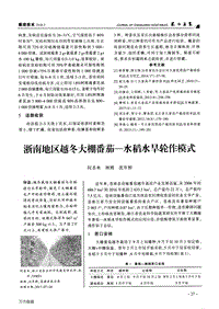 浙南地區(qū)越冬大棚番茄水稻水旱輪作模式.pdf