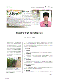 番茄沙子爐渣無土栽培技術(shù).pdf