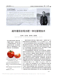 越冬番茄全程水肥一體化管理技術