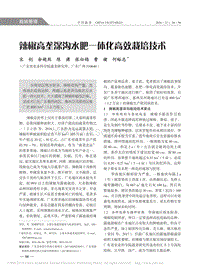 辣椒高壟深溝水肥一體化高效栽培技術(shù)