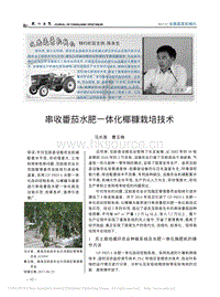 串收番茄水肥一體化椰糠栽培技術(shù).pdf