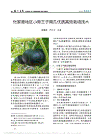 張家港地區(qū)小青王子南瓜優(yōu)質(zhì)高效栽培技術(shù)