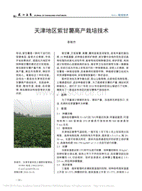 天津地區(qū)紫甘薯高產(chǎn)栽培技術(shù)
