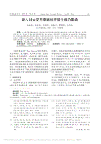 IBA對(duì)大花月季嫩枝扦插生根的影響