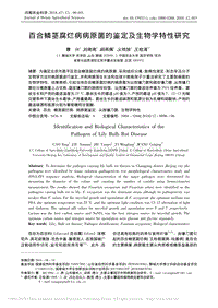百合鱗莖腐爛病病原菌的鑒定及生物學(xué)特性研究