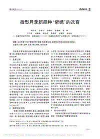 微型月季新品種“紫嫣”的選育