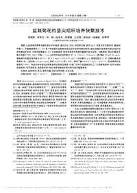 盆栽菊花的莖尖組織培養(yǎng)快繁技術(shù)
