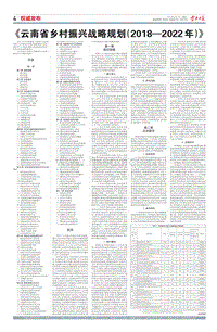 云南省鄉(xiāng)村振興戰(zhàn)略規(guī)劃（20182022年）（全文）.pdf