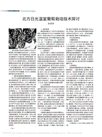 北方日光溫室葡萄栽培技術(shù)探討