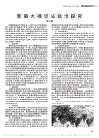 葡萄大棚促成栽培探究