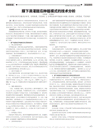 膜下滴灌甜瓜種植模式的技術(shù)分析.pdf