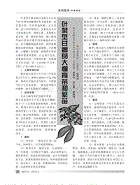 葉菜型甘薯的大棚育苗和繁苗_吳列洪.pdf
