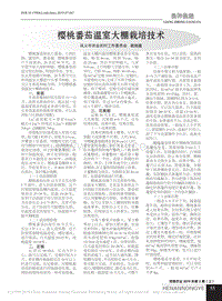 櫻桃番茄溫室大棚栽培技術(shù)_袁曉晶.pdf