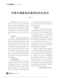 早春大棚番茄灰霉病的防治技術(shù)