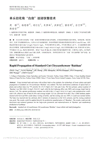 單頭切花菊"白扇"組培快繁技術(shù).pdf