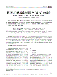 抗TYLCV優(yōu)質(zhì)番茄新品種"露比"的選育.pdf