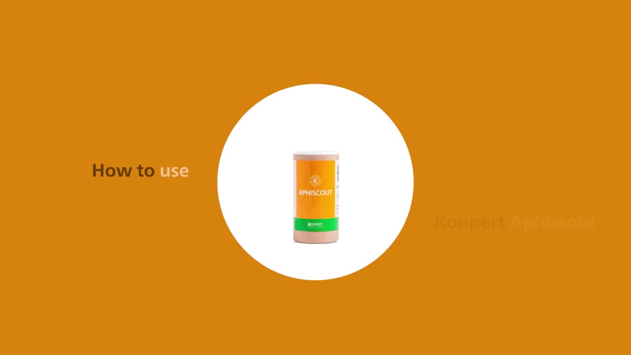 How to use Aphiscout from Koppert.mp4