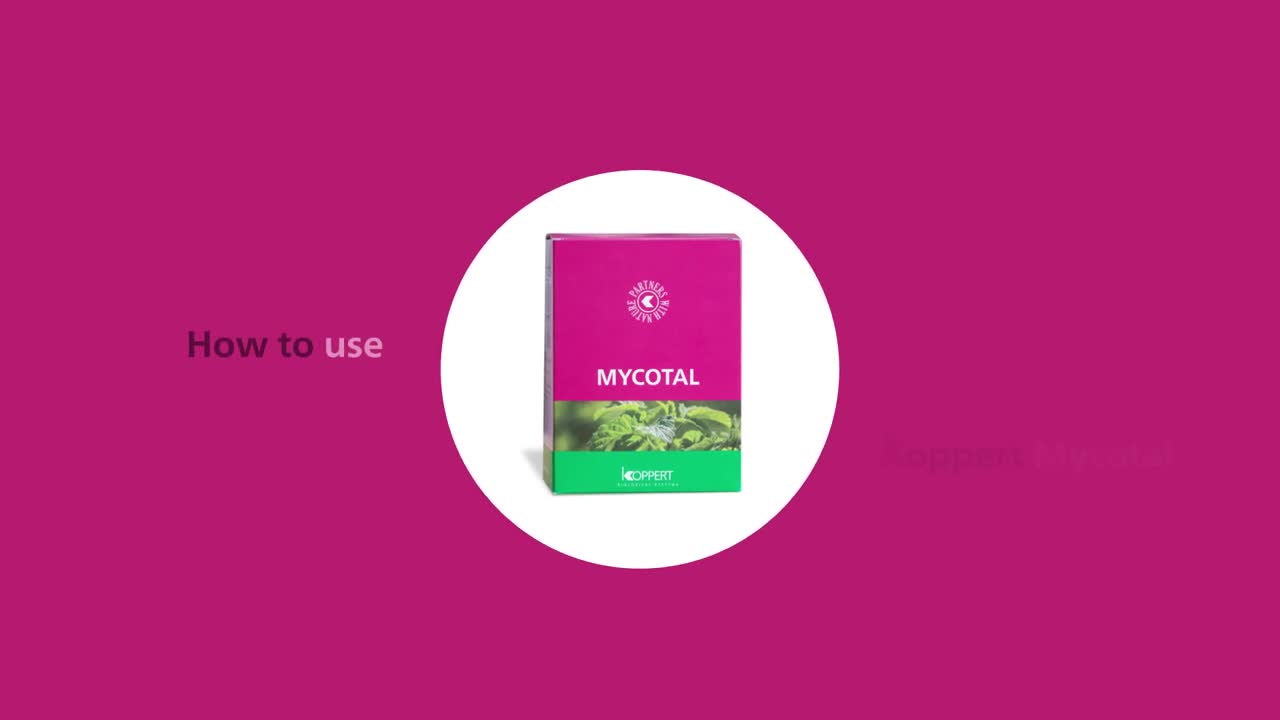 How to use Mycotal from Koppert.mp4