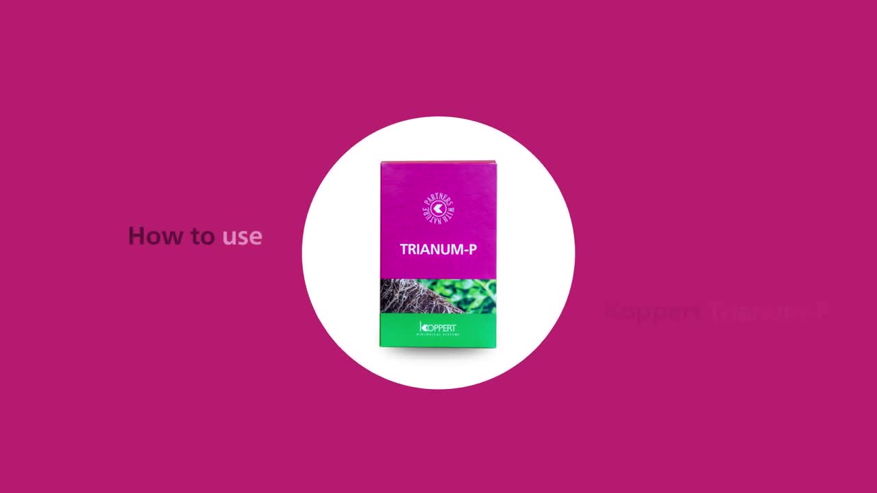 How to use Trianum-P from Koppert.mp4