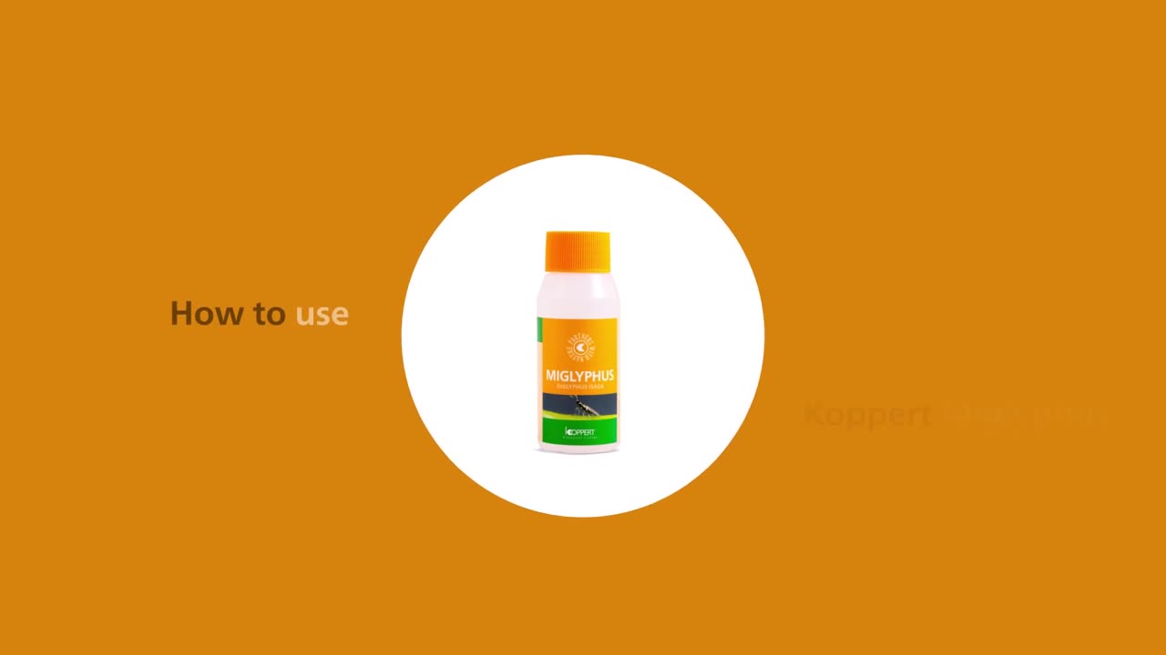How to use Miglyphus from Koppert.mp4