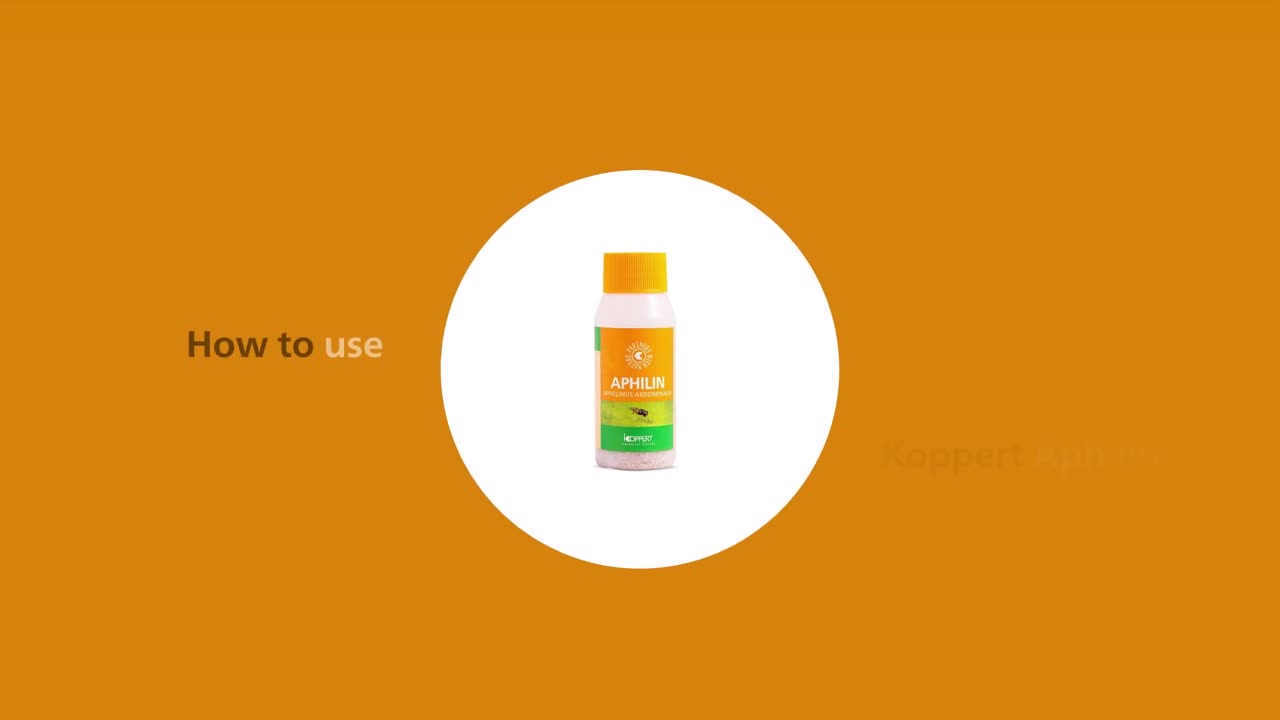 How to use Aphilin from Koppert.mp4