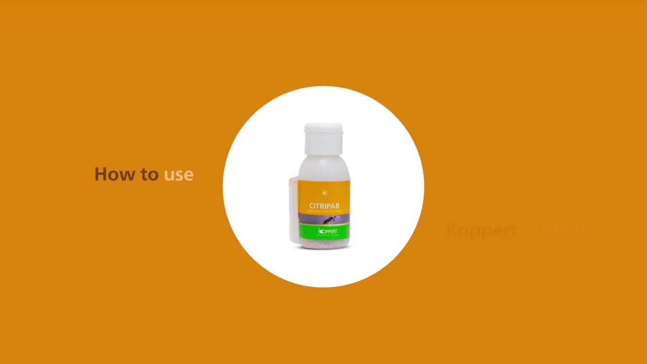 How to use Citripar from Koppert.mp4
