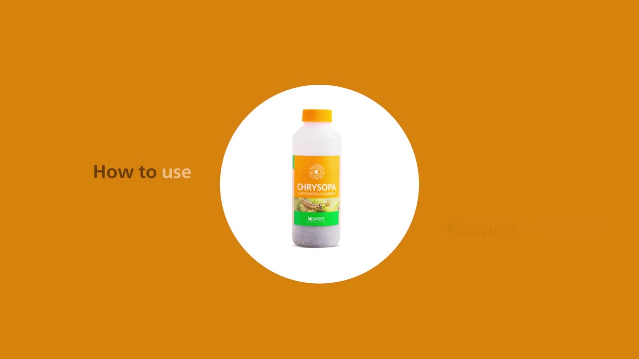 How to use Chrysopa from Koppert.mp4