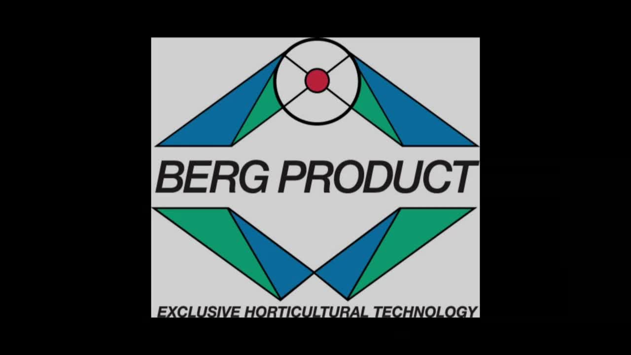 BERG BAND.wmv.mp4