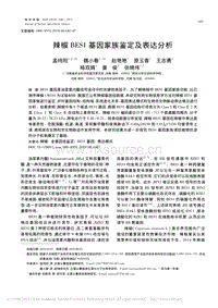 辣椒BES1基因家族鑒定及表達分析.pdf