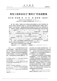 有性三倍體雜交蘭黃荷蘭的快速繁殖