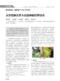 天津設施青蘿卜高效種植管理技術.pdf