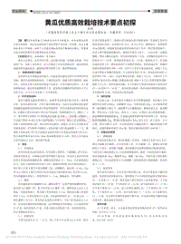 黃瓜優(yōu)質(zhì)高效栽培技術(shù)要點初探.pdf