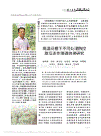 高溫悶棚下不同處理防控甜瓜連作障礙效果研究