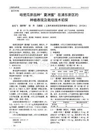 哈密瓜新品種''夏洲蜜''在浦東新區(qū)的種植表現(xiàn)及栽培技術初探