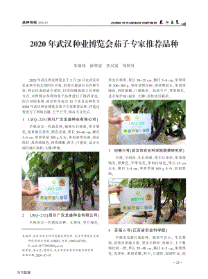 2020年武漢種業(yè)博覽會茄子專家推薦品種.pdf