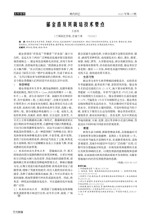 郁金香及其栽培技術(shù)要點.pdf