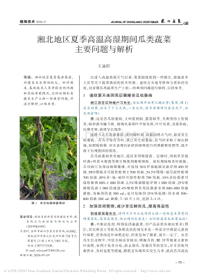 湘北地區(qū)夏季高溫高濕期間瓜類蔬菜主要問(wèn)題與解析.pdf