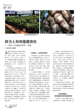 鮮為人知卻蘊(yùn)藏商機(jī)部分小眾盆栽品種有“前途”.pdf