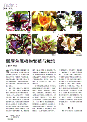 瓢唇蘭屬植物繁殖與栽培.pdf