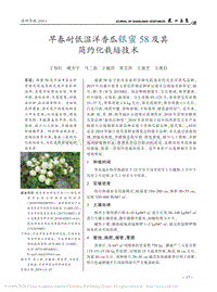 早春耐低溫洋香瓜銀蜜58及其簡約化栽培技術(shù).pdf
