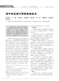 滇中地區(qū)皺葉萵苣栽培技術.pdf