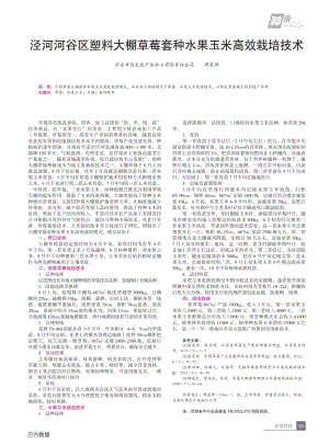 涇河河谷區(qū)塑料大棚草莓套種水果玉米高效栽培技術(shù).pdf