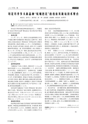 切花月季多頭新品種嫵媚芭比的選育及栽培技術(shù)要點(diǎn).pdf