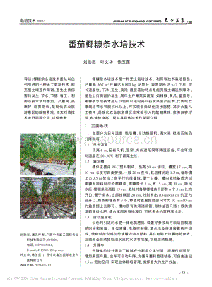 番茄椰糠條水培技術(shù).pdf