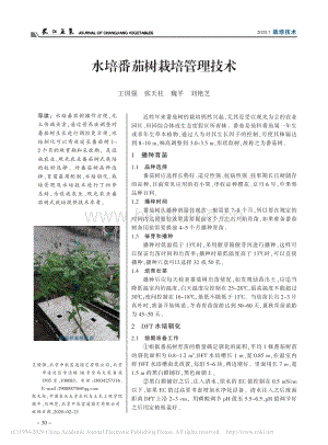 水培番茄樹栽培管理技術(shù).pdf