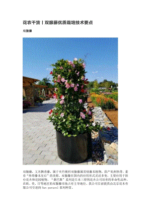 花農(nóng)干貨丨雙腺藤優(yōu)質(zhì)栽培技術(shù)要點(diǎn).pdf