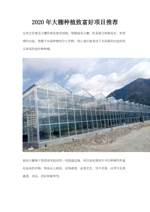 2020年大棚種植致富好項(xiàng)目推薦.doc