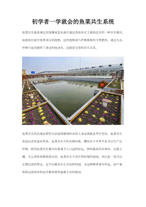 初學(xué)者一學(xué)就會(huì)的魚(yú)菜共生系統(tǒng).docx
