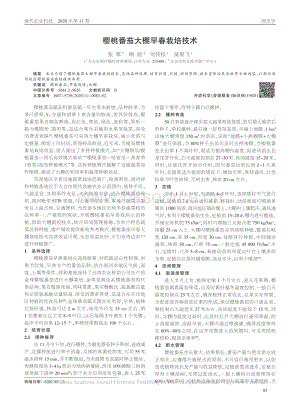 櫻桃番茄大棚早春栽培技術(shù).pdf